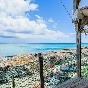 Meet your Posher, Jamilah